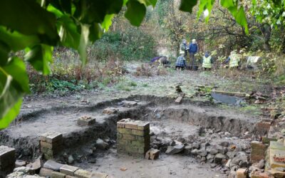 2022 November dig report
