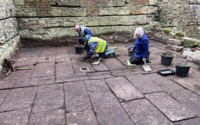 2025 January – March Dig Report